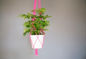 Neon pink macrame plant holder