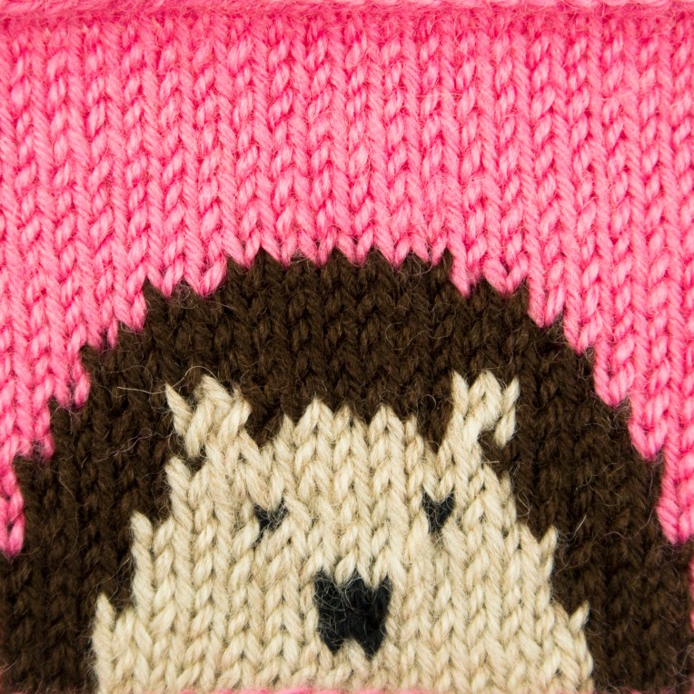 hedgehog